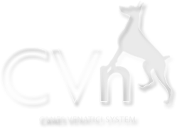 CVn System